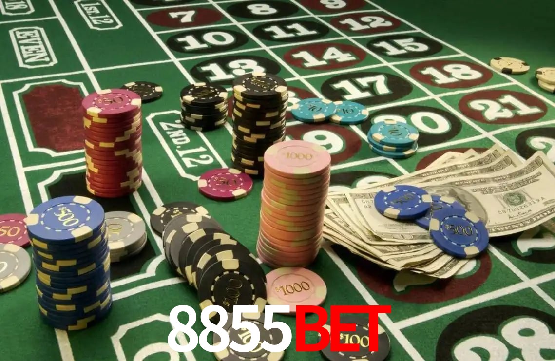 Statistics 8855Bet