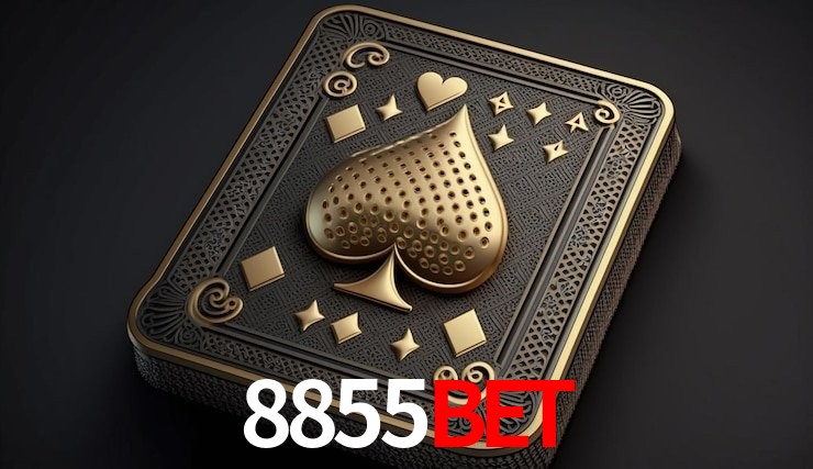Experiência VIP 8855Bet